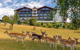 Natur- Und Wohlfuehlhotel Kastenholz